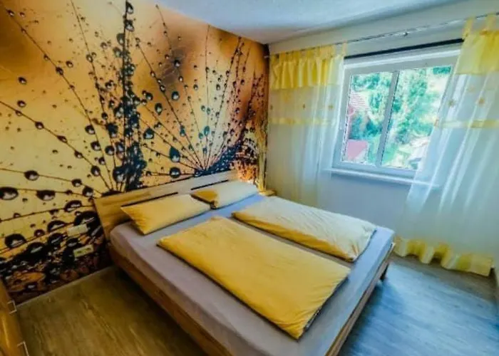 Ferienwohnung Luisenthal Apartment