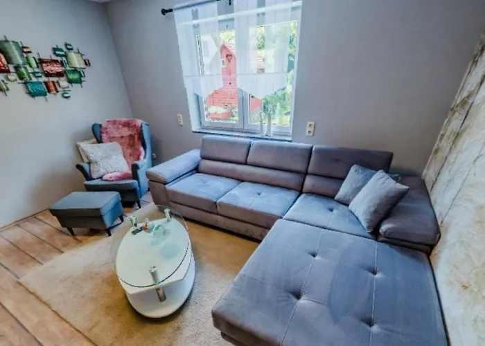 Ferienwohnung Luisenthal Apartment