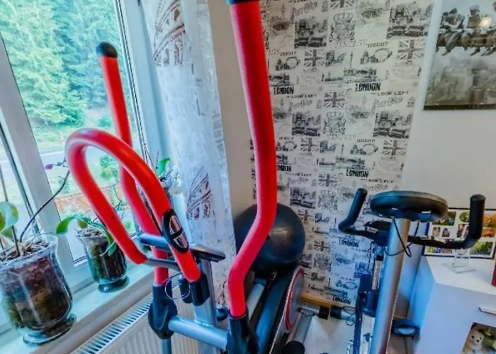 Διαμέρισμα Ferienwohnung Luisenthal Luisenthal